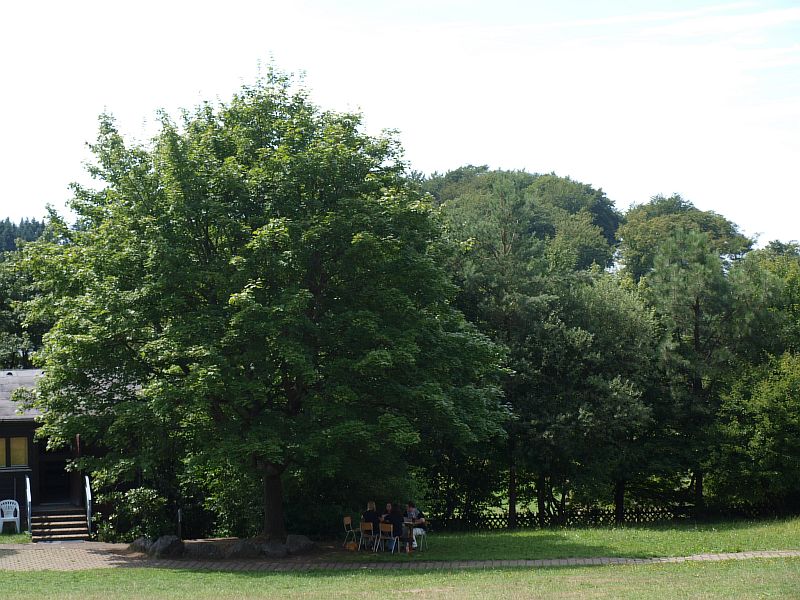 Tr07_133500.JPG